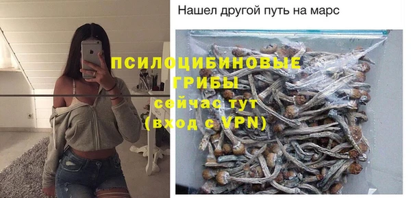 дурь Алексеевка