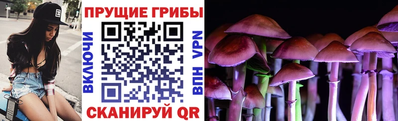 Псилоцибиновые грибы Magic Shrooms  дарнет шоп  darknet наркотические препараты  Сокол 