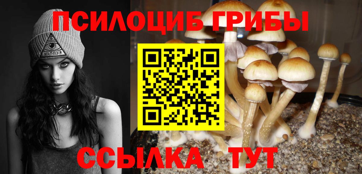 Галлюциногенные грибы Psilocybine cubensis  Галлюциногенные грибы мицелий  Сокол  Вход с VPN 