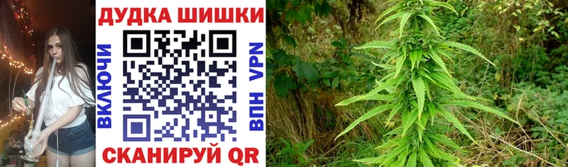 Шишки марихуана VHQ  маркетплейс наркотические препараты  Сокол 